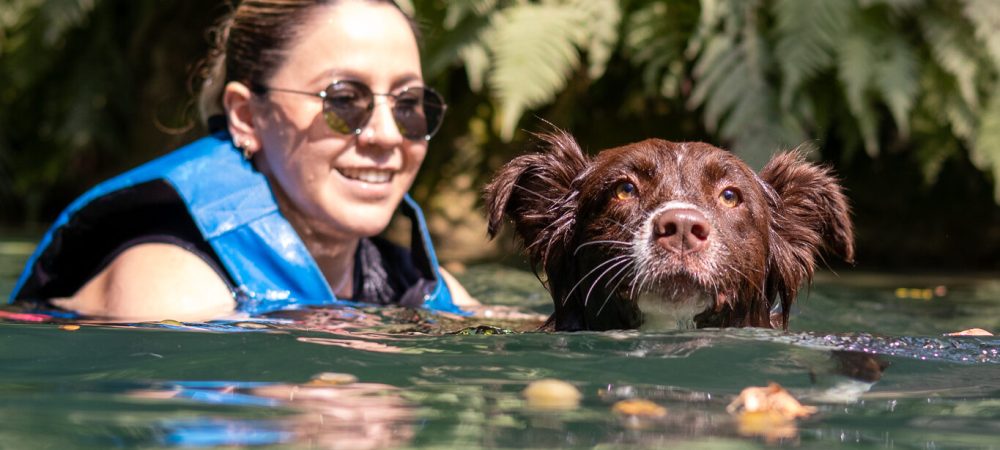 22 de Mayo 2026