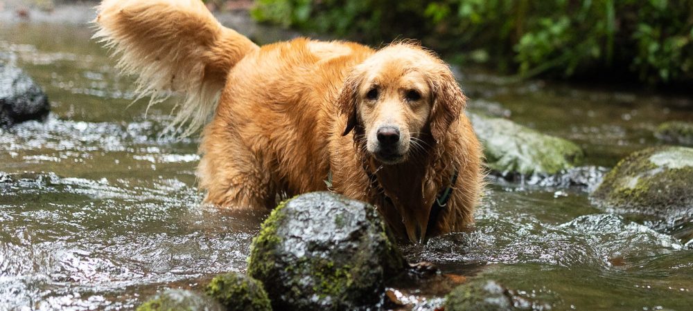 14 de Febrero 2026 -AGOTADO-